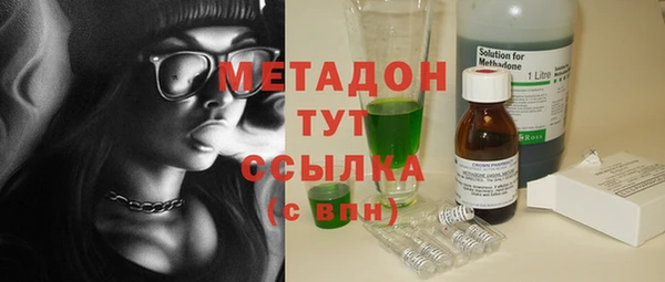 PSILOCYBIN Вяземский