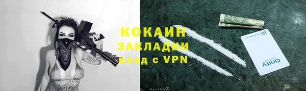 PSILOCYBIN Вяземский