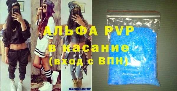 PSILOCYBIN Вяземский