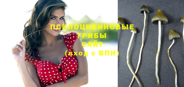 PSILOCYBIN Вяземский